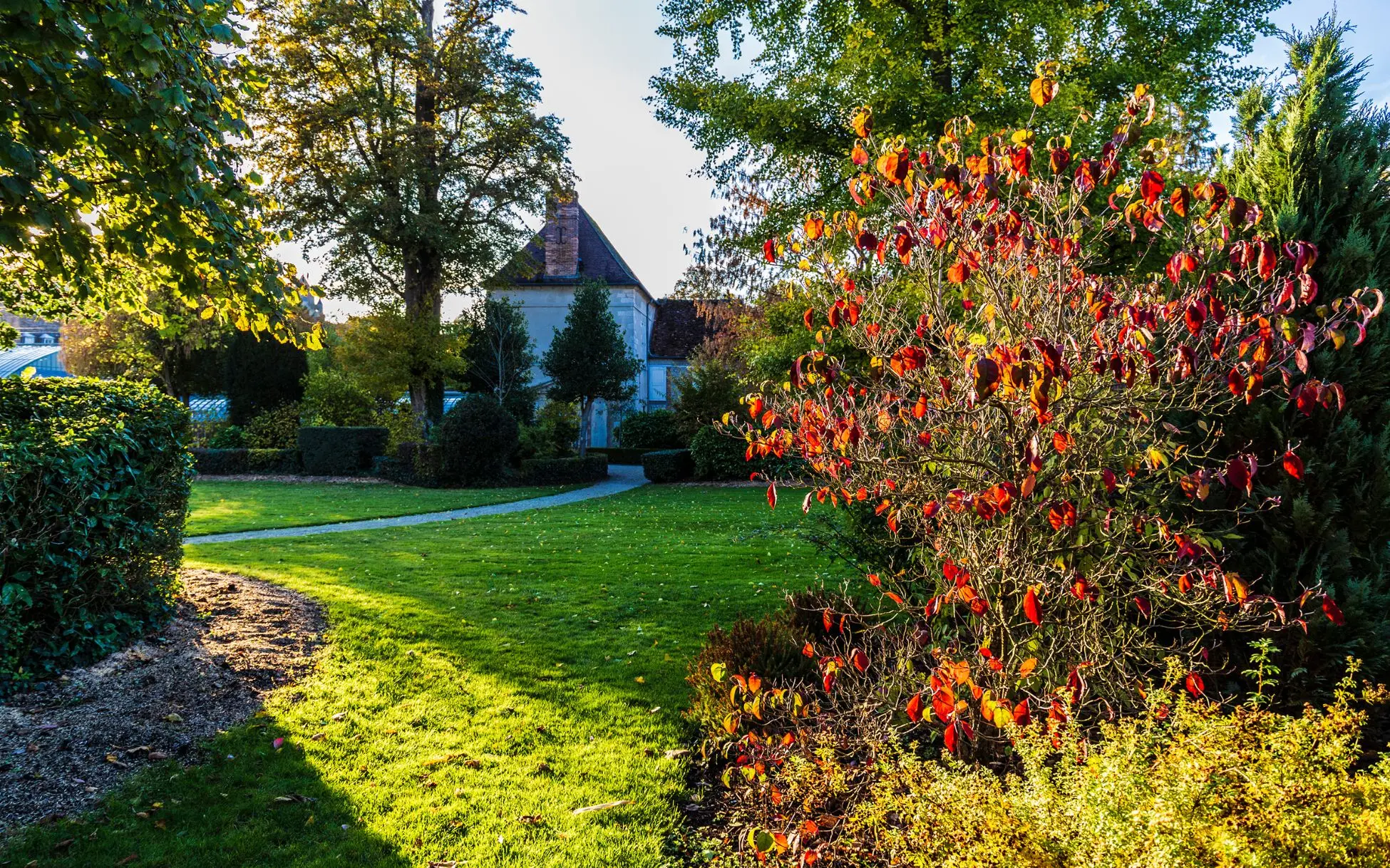 Création de restanques